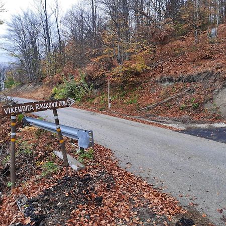 Vikendica Rankovici Villa Mokra Gora Bagian luar foto