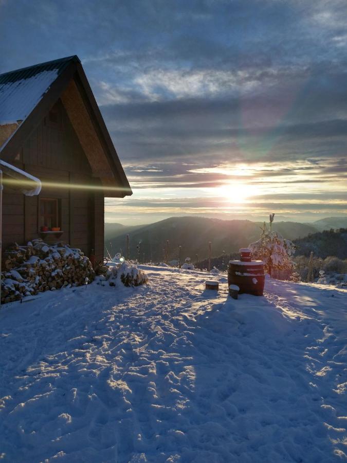 Vikendica Rankovici Villa Mokra Gora Bagian luar foto
