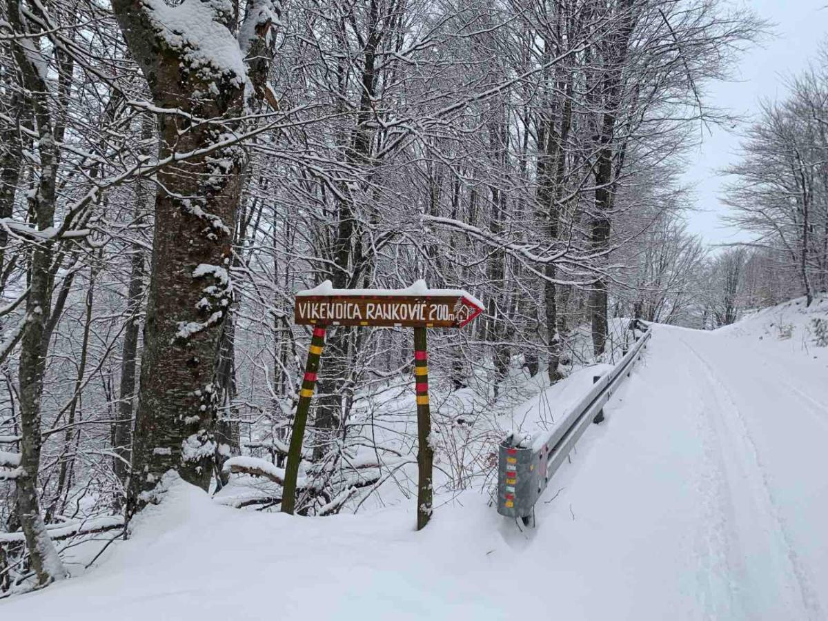 Vikendica Rankovici Villa Mokra Gora Bagian luar foto