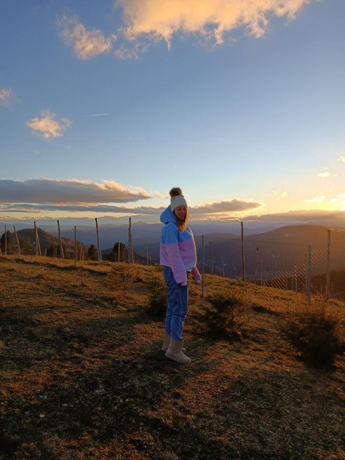 Vikendica Rankovici Villa Mokra Gora Bagian luar foto
