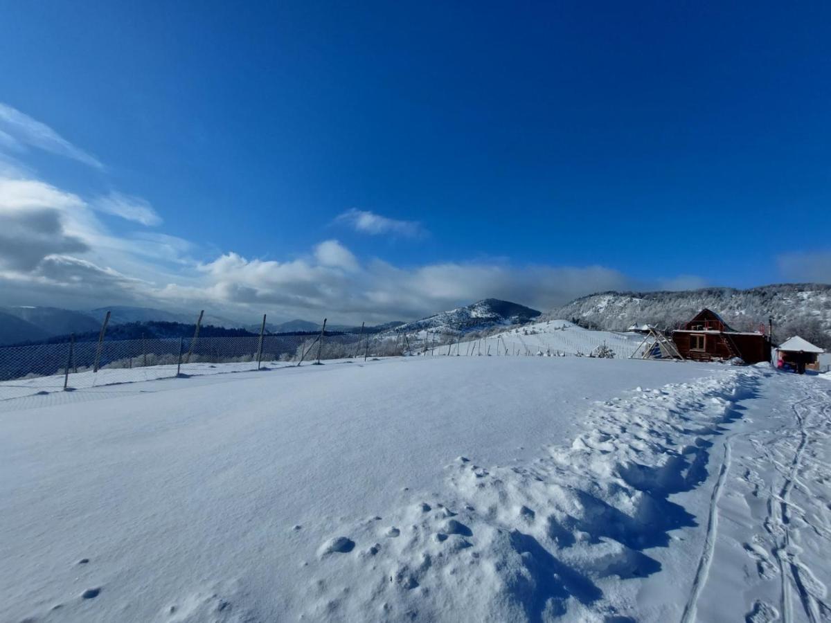 Vikendica Rankovici Villa Mokra Gora Bagian luar foto