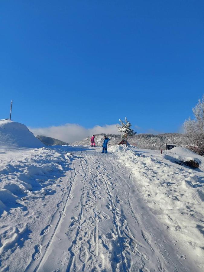 Vikendica Rankovici Villa Mokra Gora Bagian luar foto