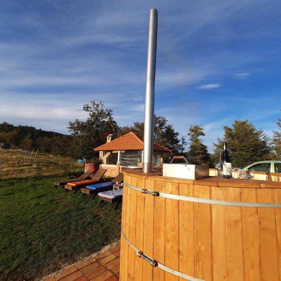 Vikendica Rankovici Villa Mokra Gora Bagian luar foto