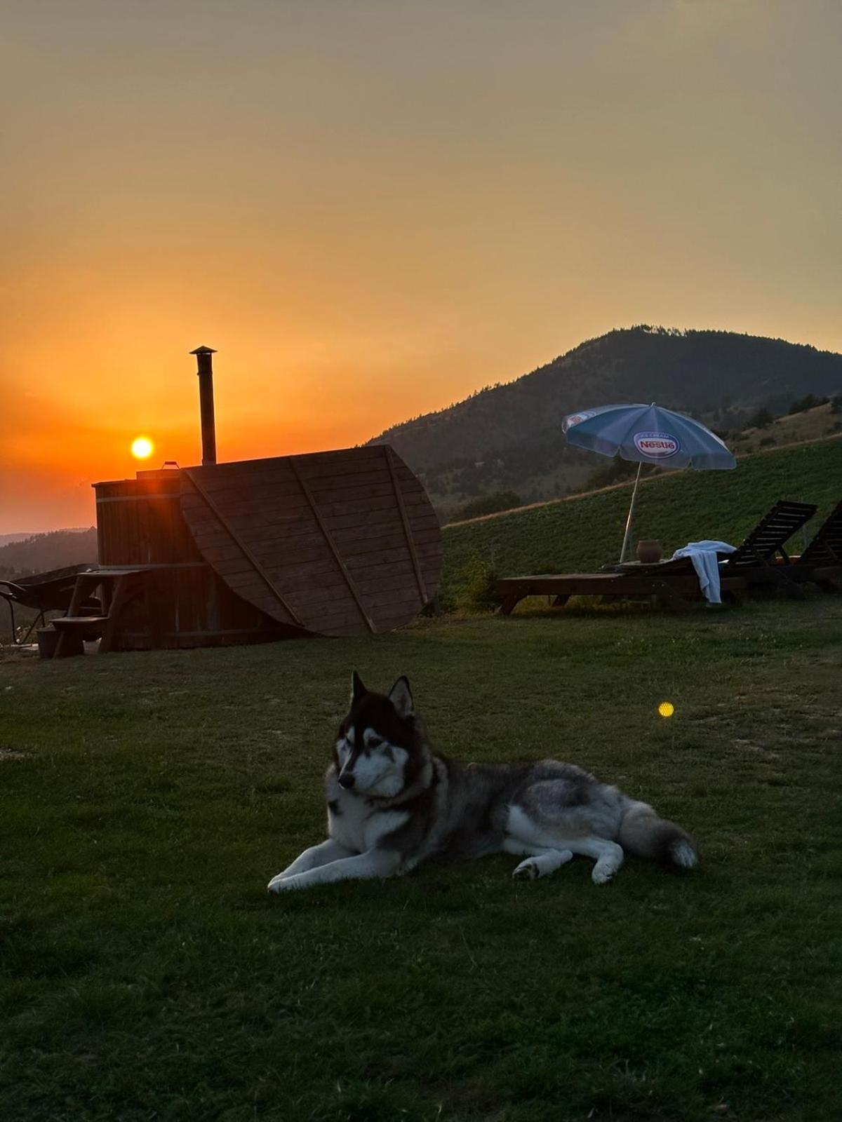 Vikendica Rankovici Villa Mokra Gora Bagian luar foto