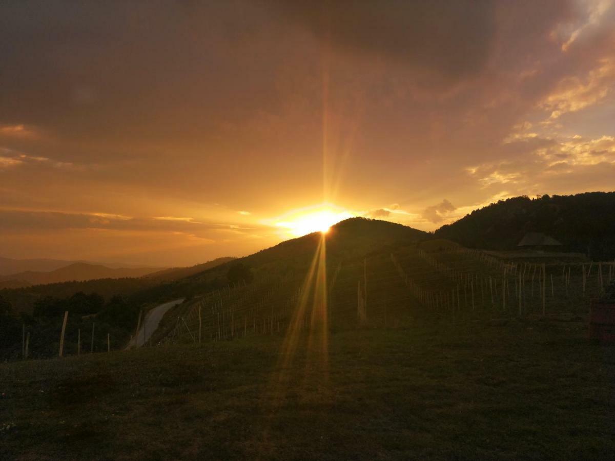 Vikendica Rankovici Villa Mokra Gora Bagian luar foto