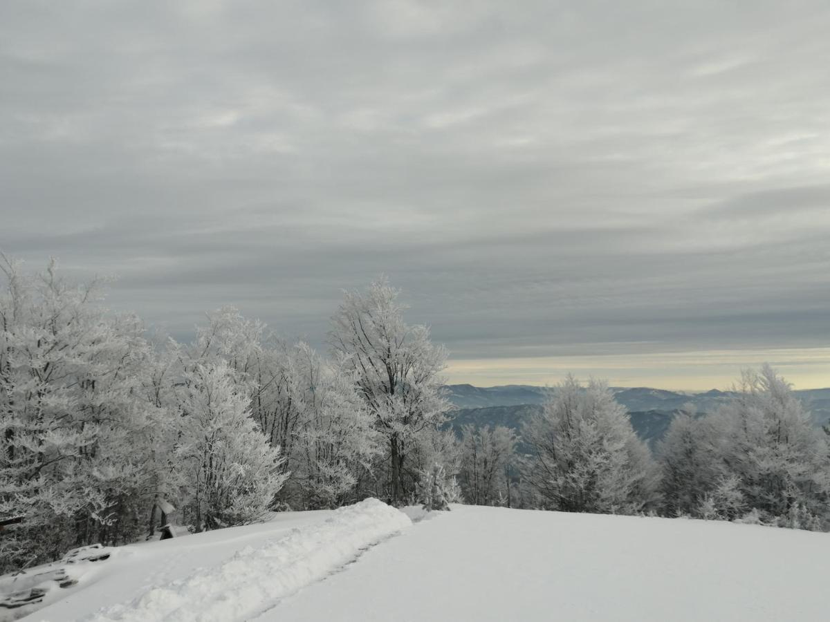 Vikendica Rankovici Villa Mokra Gora Bagian luar foto