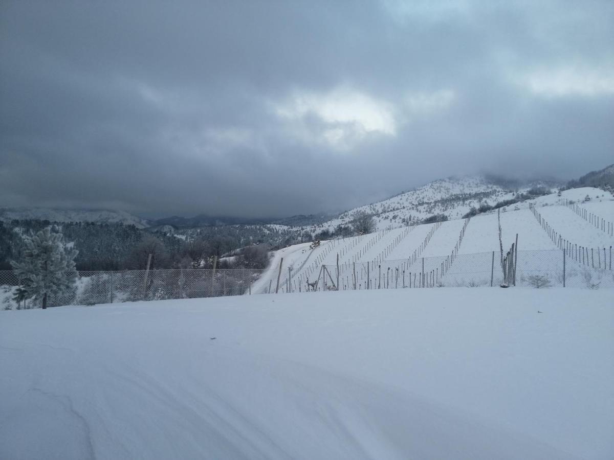 Vikendica Rankovici Villa Mokra Gora Bagian luar foto
