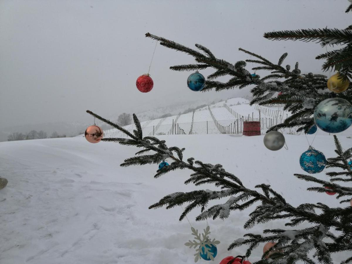 Vikendica Rankovici Villa Mokra Gora Bagian luar foto