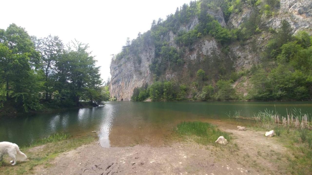 Vikendica Rankovici Villa Mokra Gora Bagian luar foto